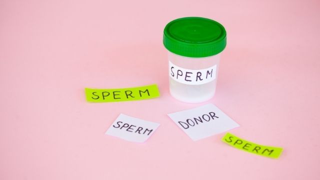 All About Sperm & Egg Donation Program