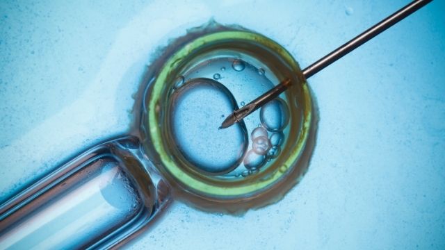 laser-assisted-hatching-in-ivf All About IVF Laser Assisted Hatching (LAH)