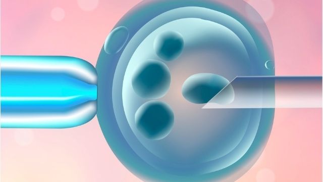 All About Pre-implantation Genetic Testing (PGT)