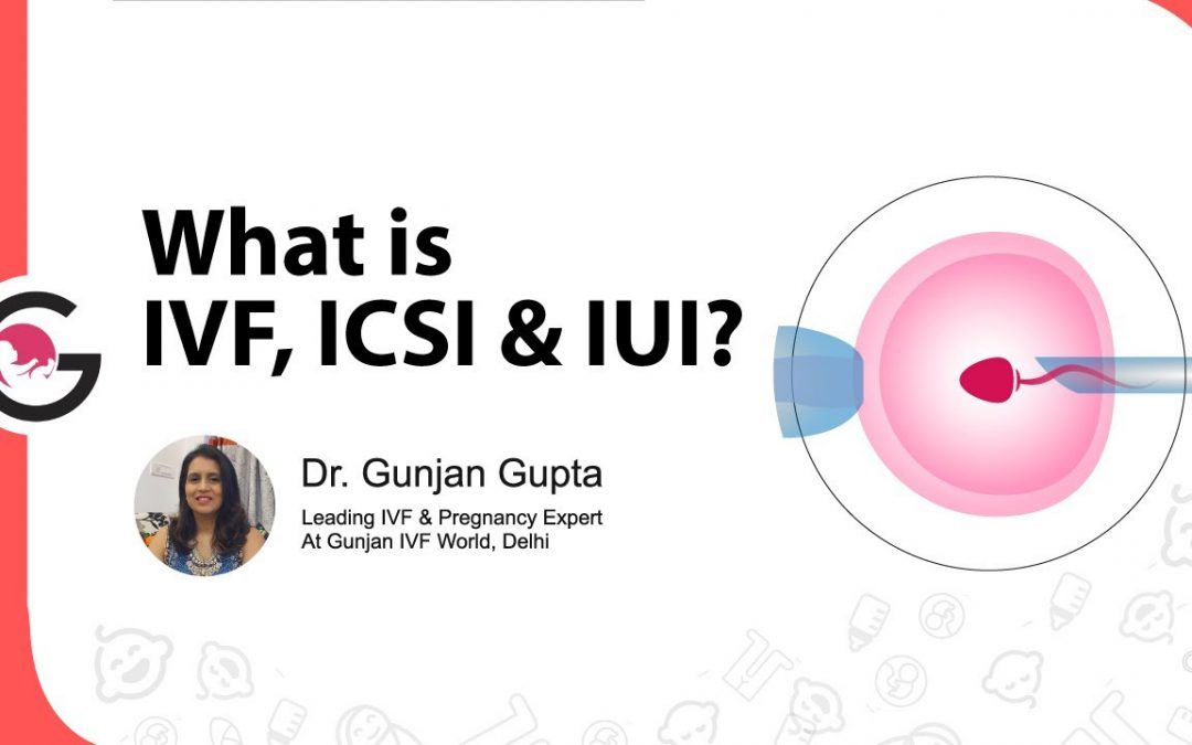 Difference between IUI, IVF and ICSI?