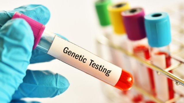 All About Genetic Testing (DNA testing)