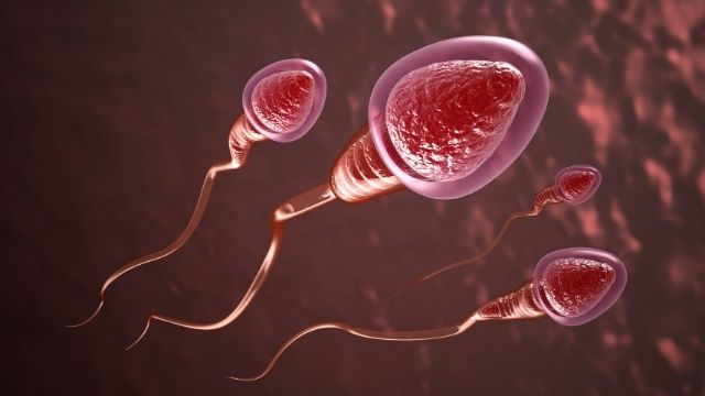 All About Low sperm count