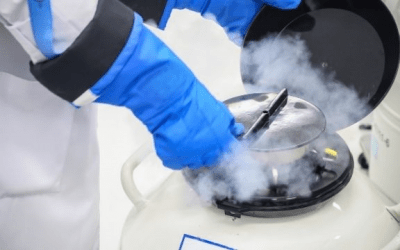 What to know about Egg Freezing?