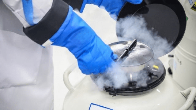 What to know about Egg Freezing?