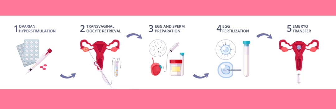 IVF meaning in Hindi (IVF या टेस्ट ट्यूब बेबी क्या है?)