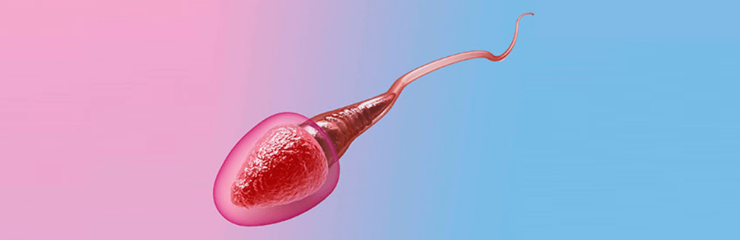 Can Abnormal Sperm Morphology Cause Birth Defects?