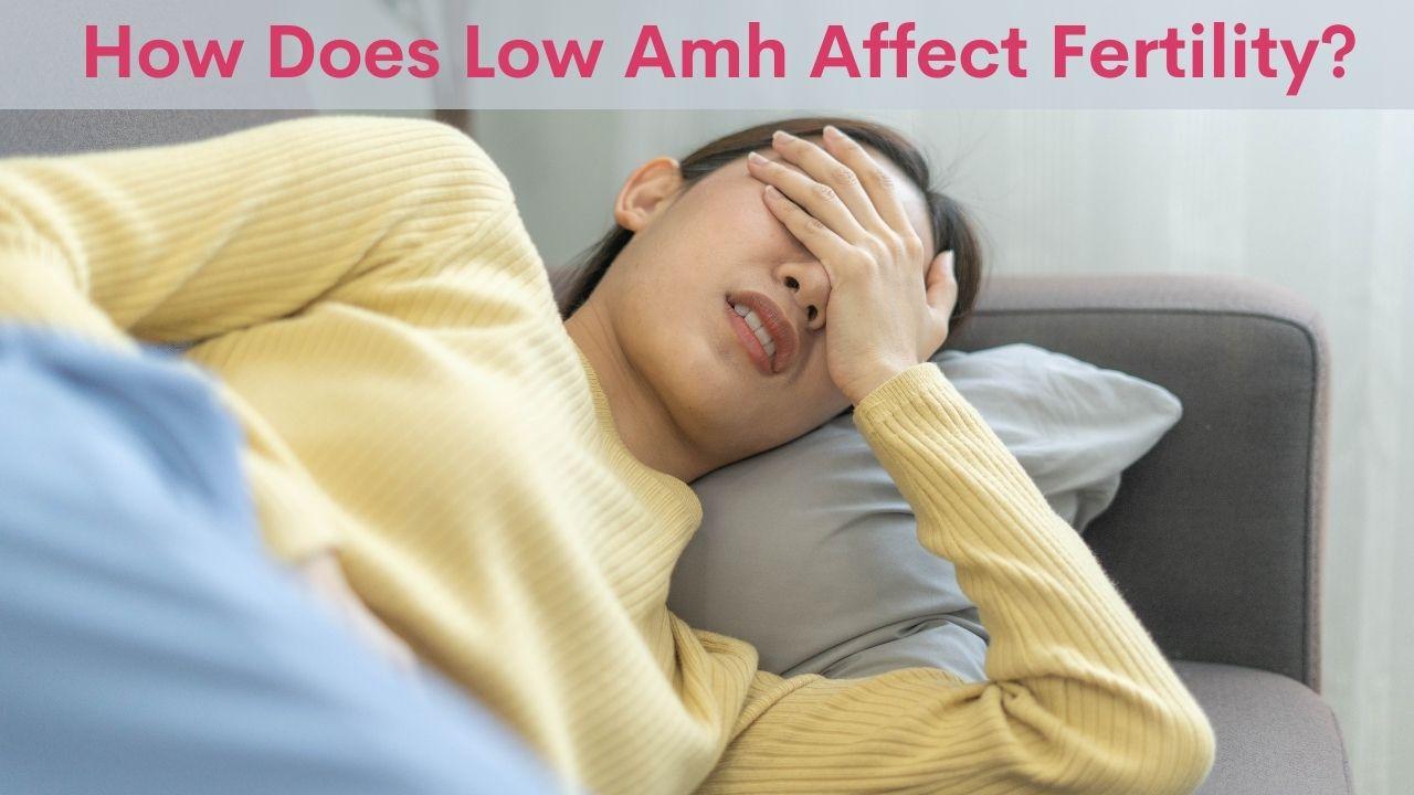 How+Does+Low+Amh+Affect+Fertility