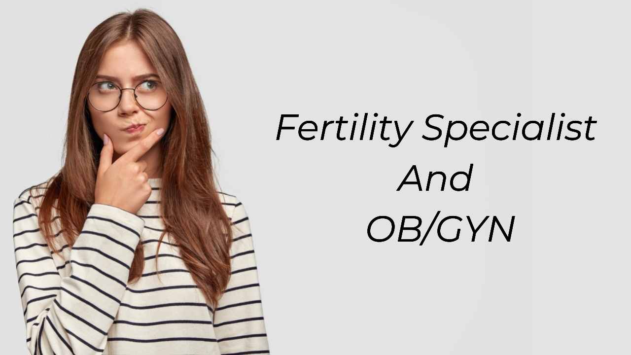 Understanding The Differences Between A Fertility Specialist And OB/GYN