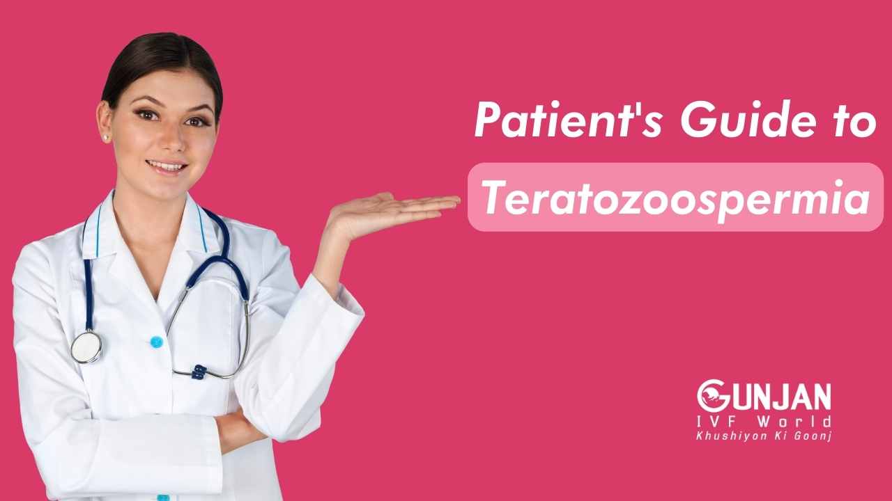 Patient’s Guide to Teratozoospermia