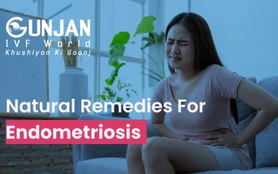 Natural Remedies For Endometriosis