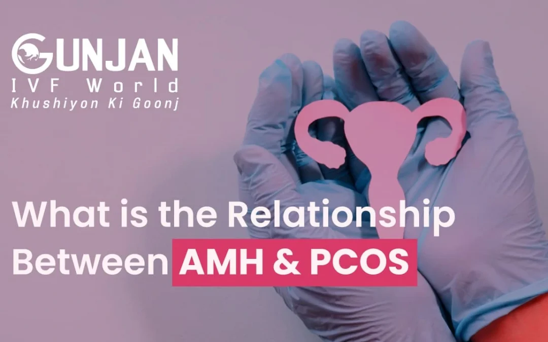 What is the Relationship Between AMH and PCOS?