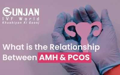 What is the Relationship Between AMH and PCOS?