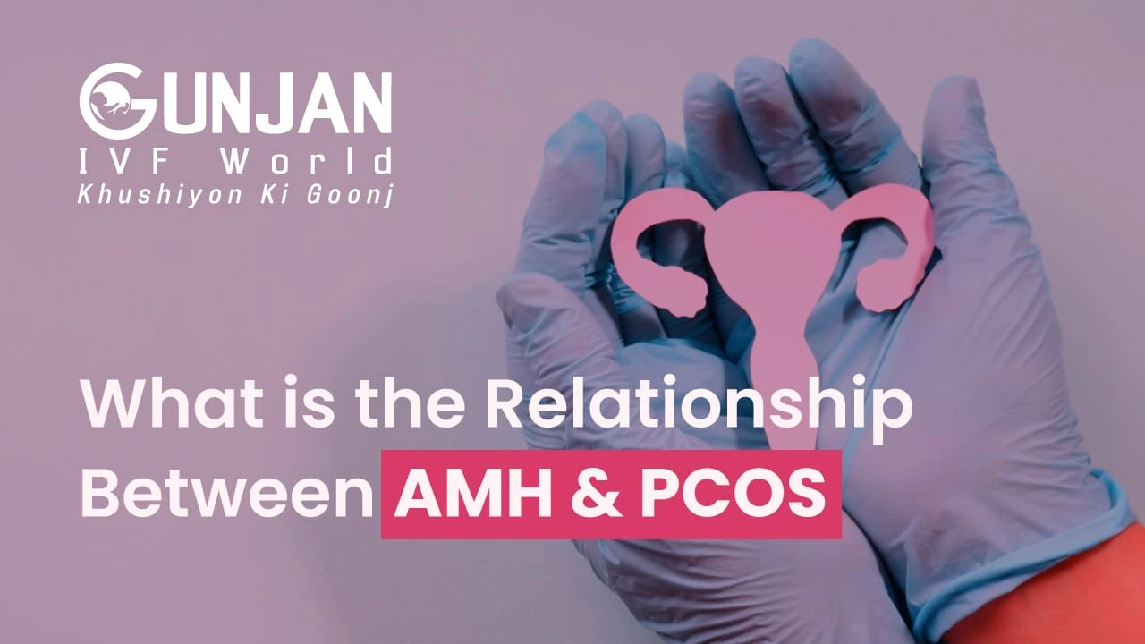 What is the Relationship Between AMH and PCOS?