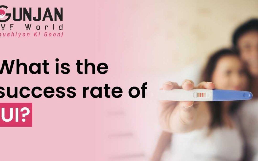 What is the Success Rate of IUI?