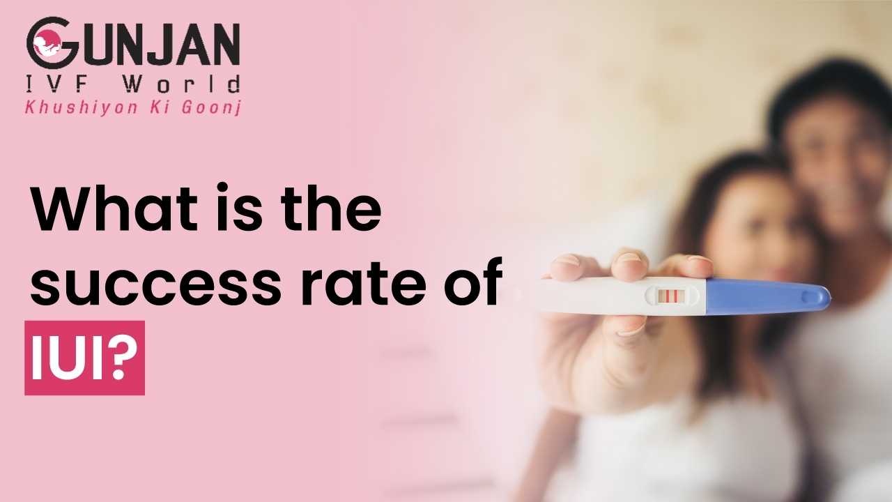 What is the Success Rate of IUI?