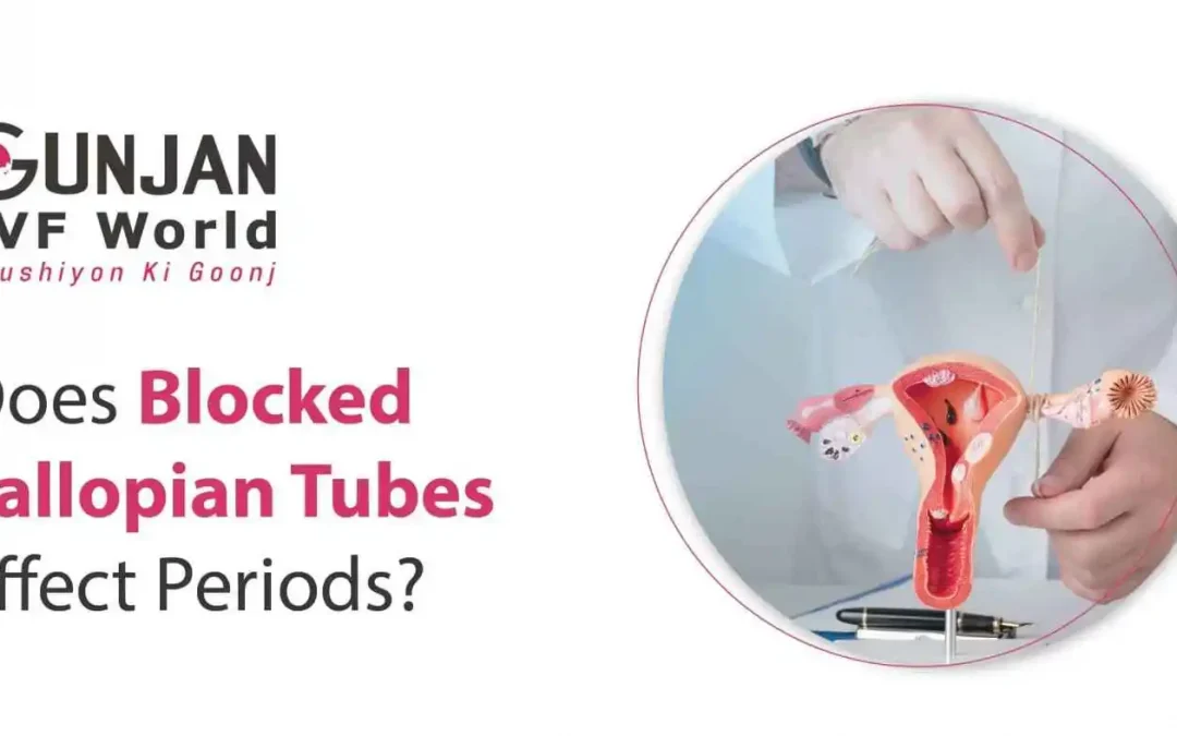 Does Blocked Fallopian Tubes Affect Periods?