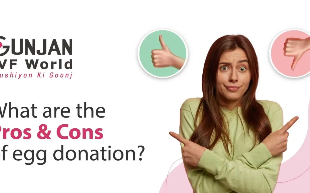 What are the Pros and Cons of egg donation
