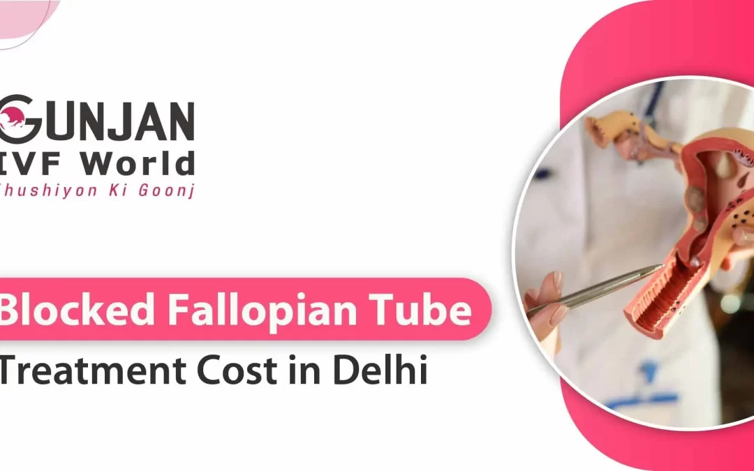 Blocked Fallopian Tube Treatment Cost in Delhi