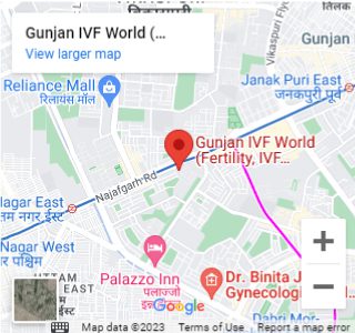 Gunjan IVF World Best IVF Center in Janakpuri