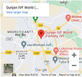 Gunjan IVF World Best IVF Center in Meerut