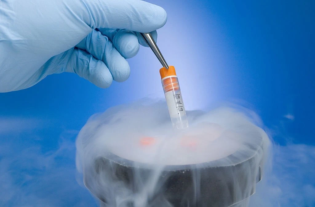 Freeze Embryos