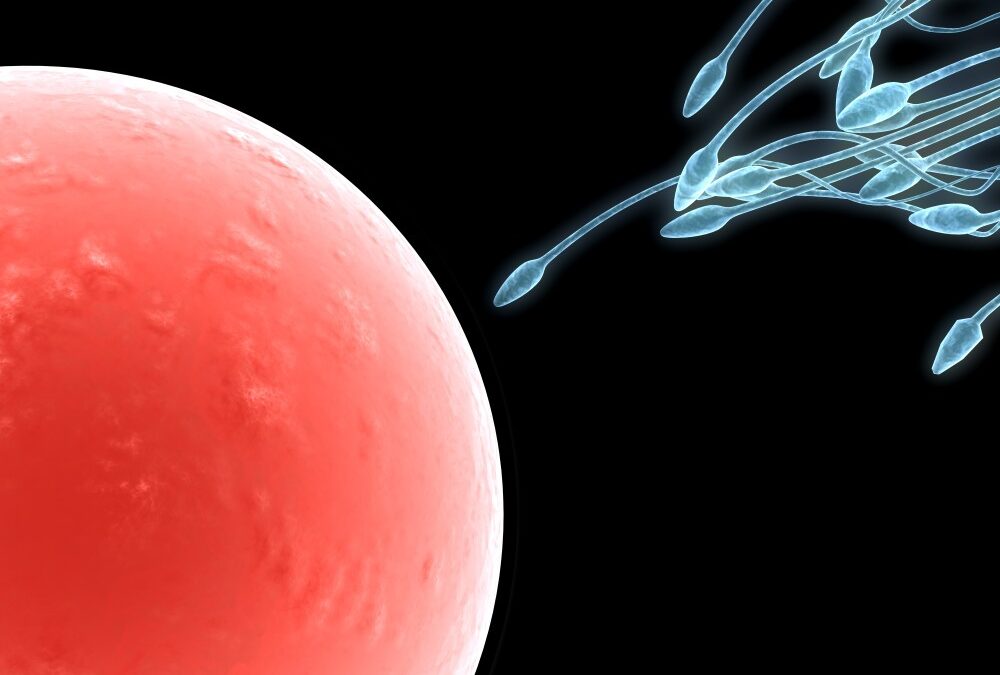 Can sperm issues affect IVF treatments?