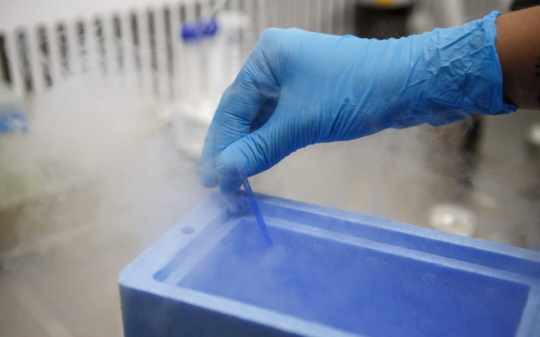Egg freezing vs Embryo freezing – Which option is better ?