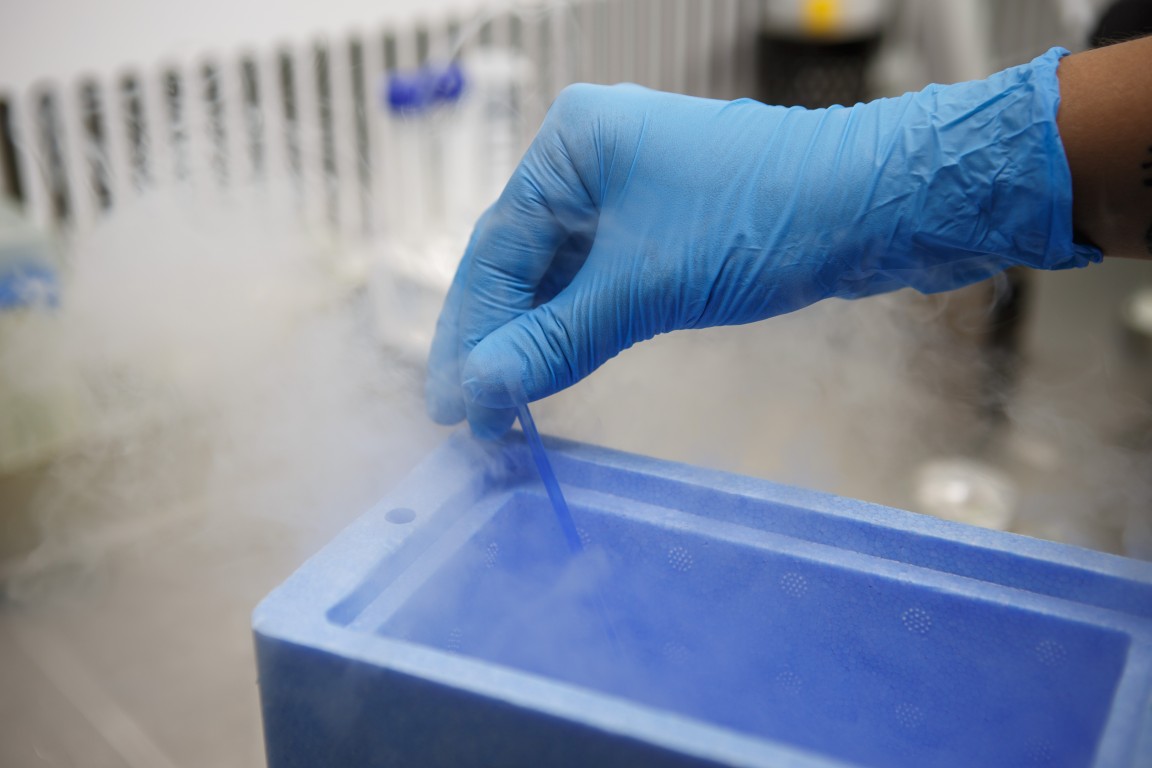 Egg freezing vs Embryo freezing