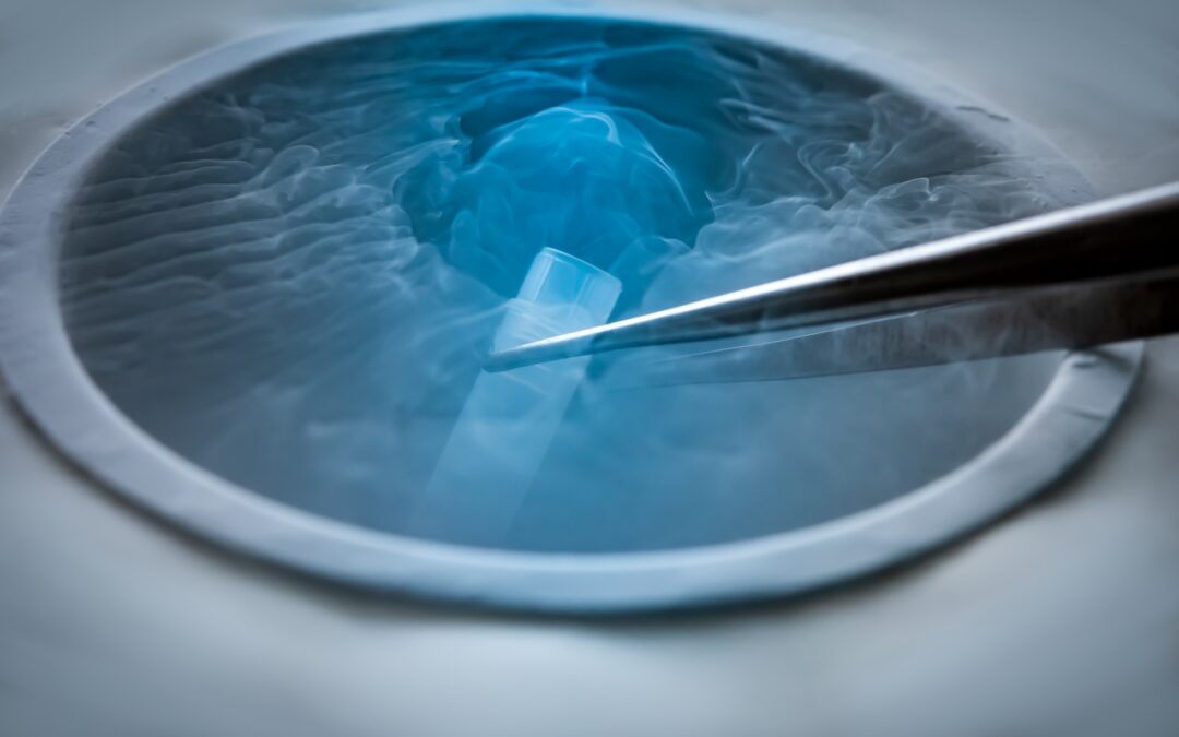 For how long can you freeze your eggs? Does the quality deteriorate?