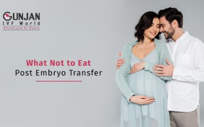 Foods to avoid eating after Embryo Transfer (ET)
