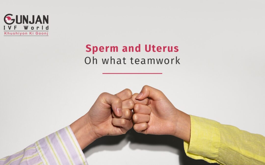 Sperm and uterus – How well they work as  a team?