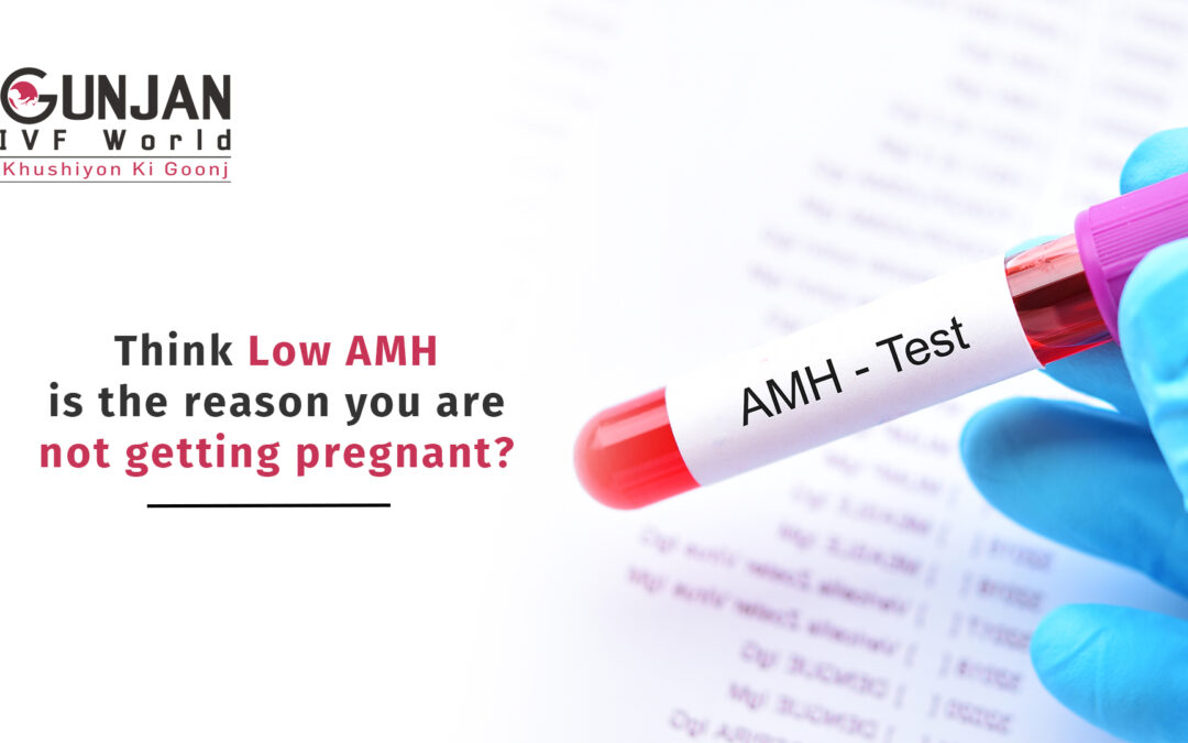 Can you conceive with low AMH?
