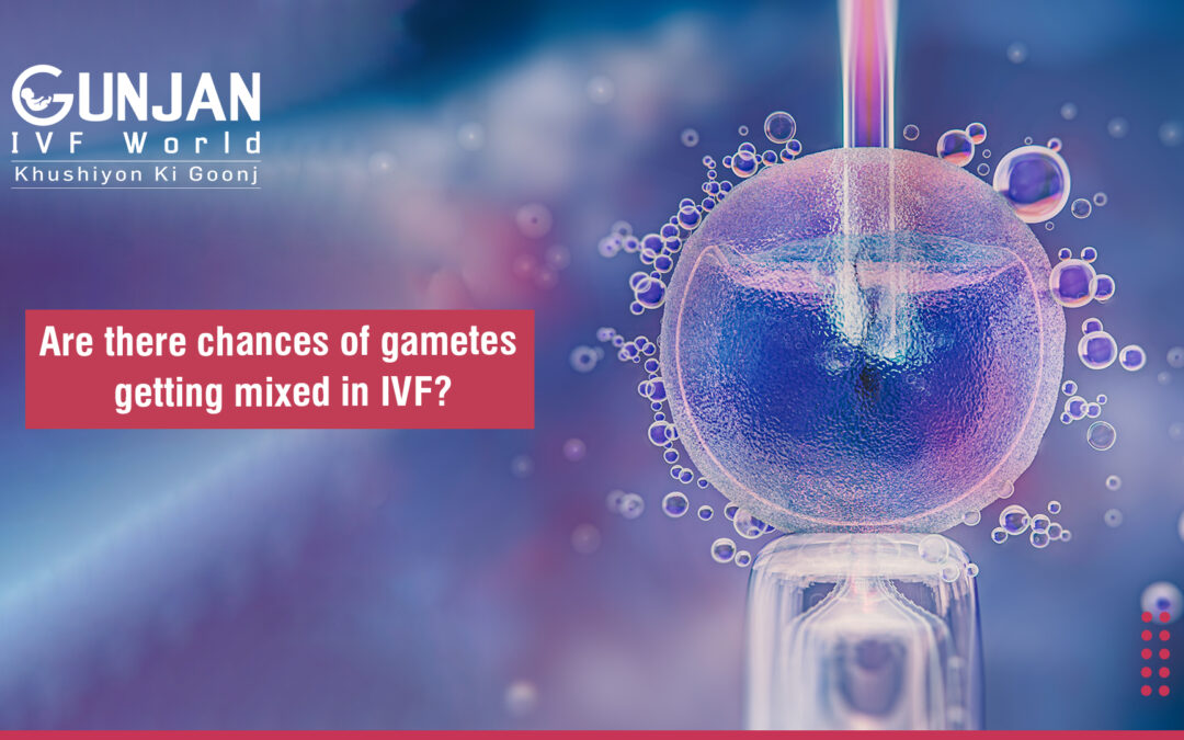 Do gametes get mixed during IVF treatment?
