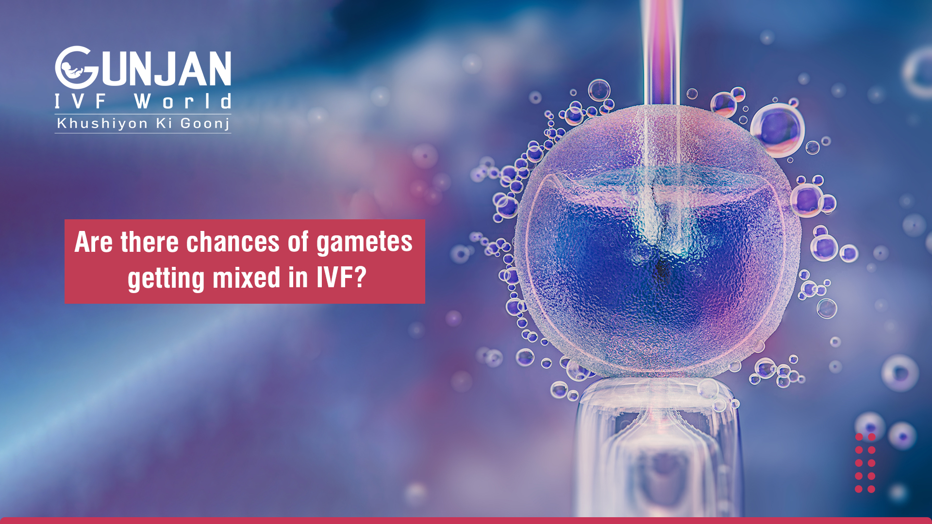Do gametes get mixed during IVF treatment?