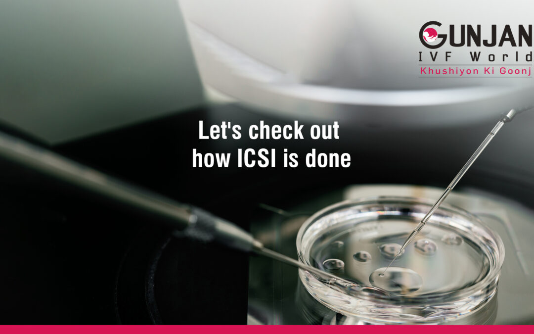 How is Intracytoplasmic Sperm Injection  (ICSI) done?