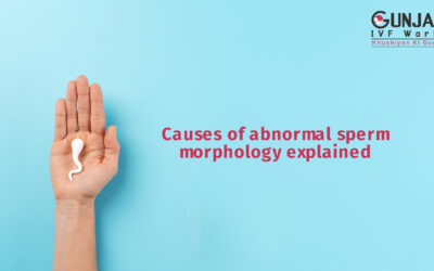 Causes of abnormal sperm morphology  explained