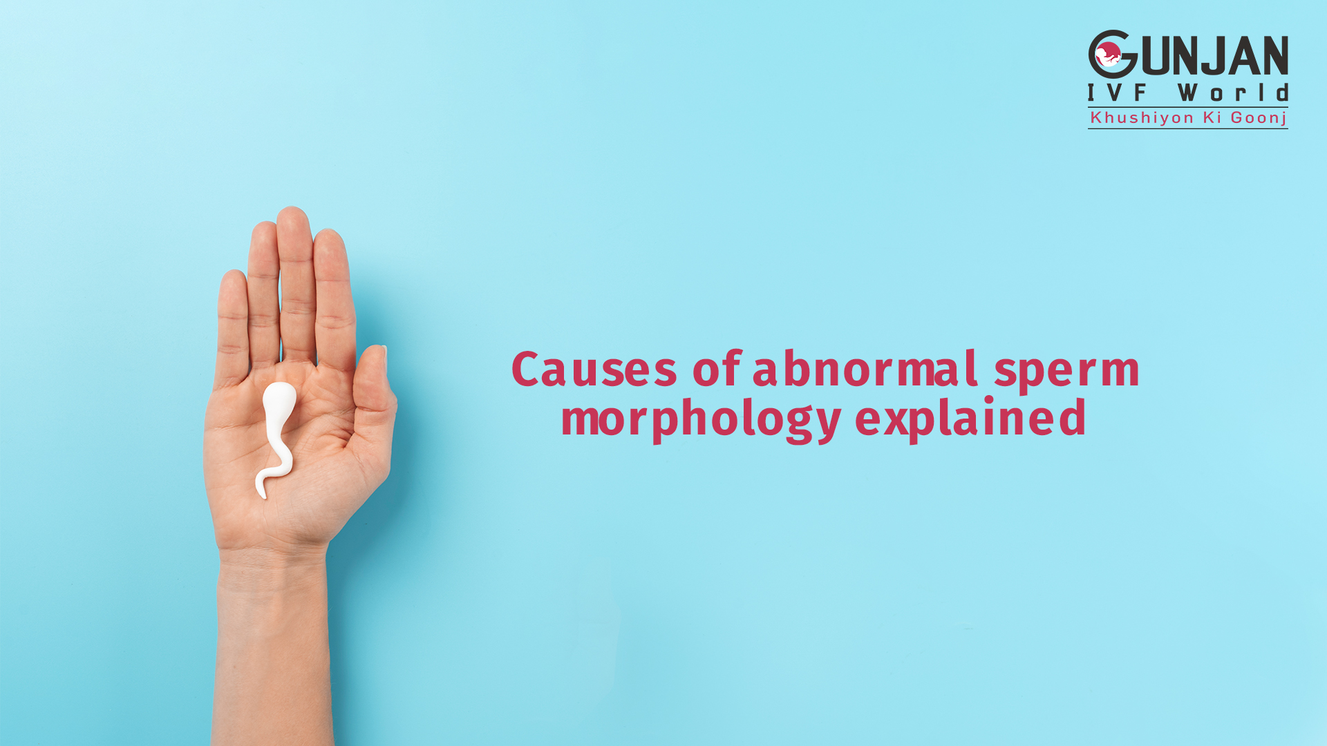Causes of abnormal sperm morphology explained Causes of abnormal sperm morphology explained
