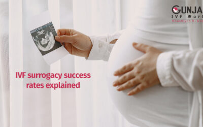 IVF surrogacy success rates explained