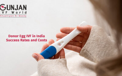 Donor egg IVF in India: Success rates and costs