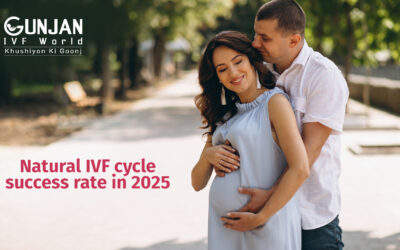 Natural IVF cycle success rate in 2025 explained