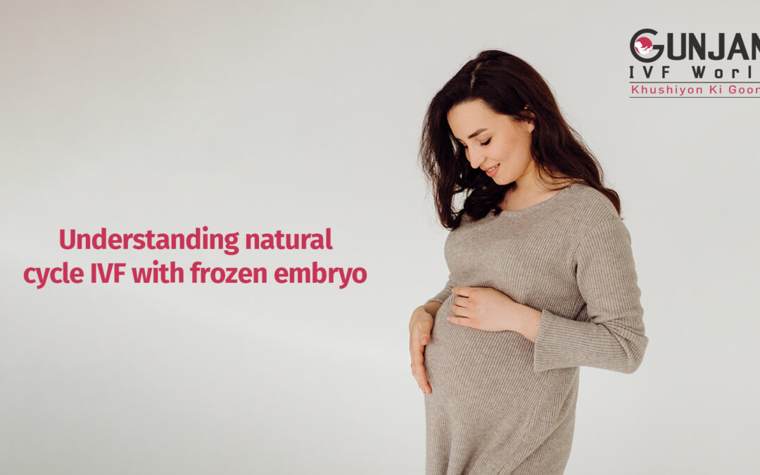 Natural cycle IVF with frozen embryo explained