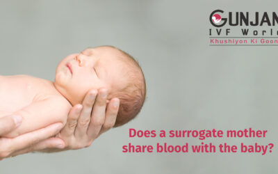 Does a surrogate mother share blood with the baby?